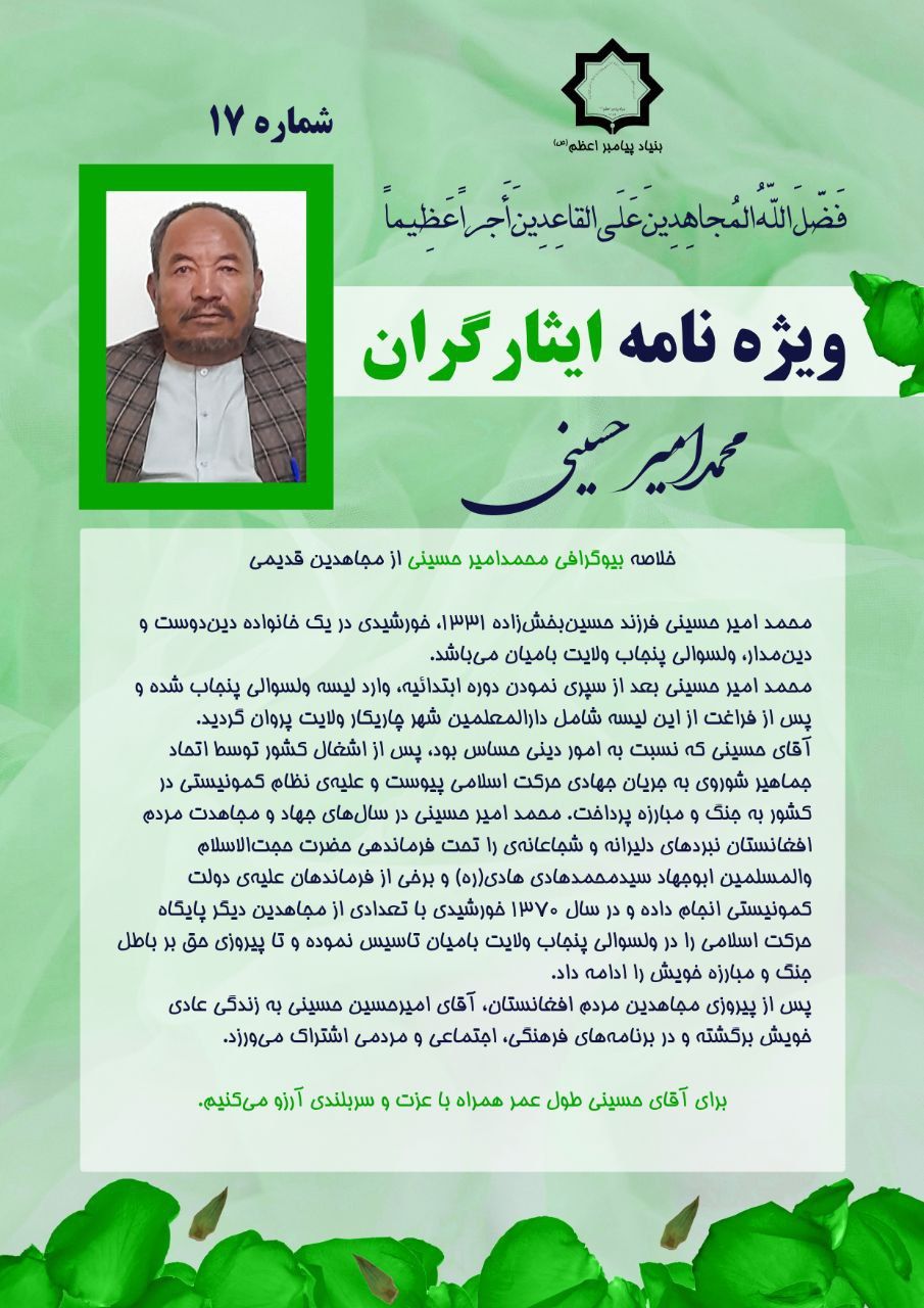 بیوگرافی محمد‌امیر حسینی